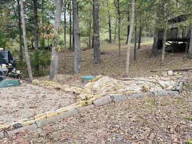 A rural lot turned into an RV'ers dream! Escape to the piney - photo 11
