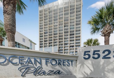 Enjoy spectacular ocean views from this updated, fully furnished - photo 42