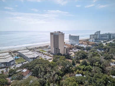Enjoy spectacular ocean views from this updated, fully furnished - photo 48