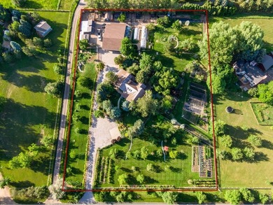 A Rare Organic Homestead - Grounded in Self-Reliance and Natural - photo 4