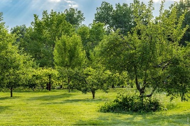 A Rare Organic Homestead - Grounded in Self-Reliance and Natural - photo 6