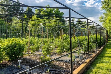 A Rare Organic Homestead - Grounded in Self-Reliance and Natural - photo 10