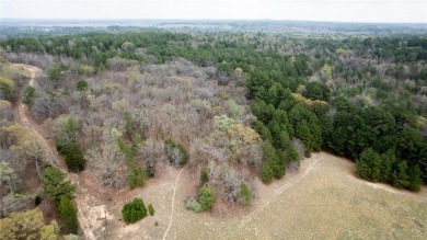 (private lake, pond, creek) Acreage For Sale in Tyler Texas