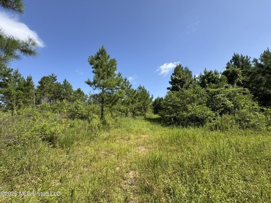 40+/- Acres - Topisaw Creek Recreational Tract Southwest - photo 14