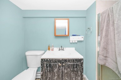Welcome to this beautiful expanded cape located in Islip. This - photo 22