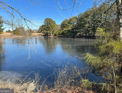 Lake Home For Sale in Oxford, Georgia