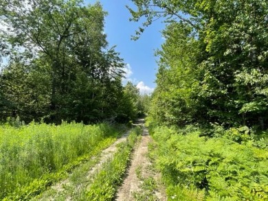  Acreage For Sale in Starks Maine
