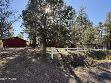 Fools Hollow Lake Home For Sale in Show Low Arizona