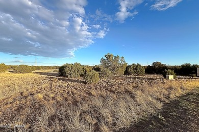 Lake Lot For Sale in Show Low, Arizona