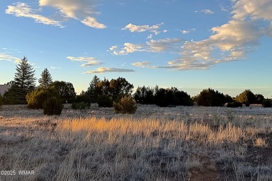 Lake Lot For Sale in Show Low, Arizona