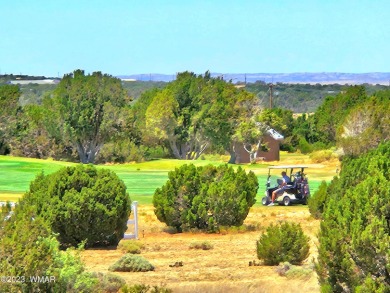 Lake Lot For Sale in Show Low, Arizona