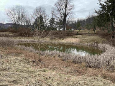 (private lake, pond, creek) Acreage For Sale in Elkins West Virginia