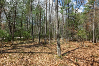 Set your roots in the storied setting of Eagle Waters Resort - photo 12