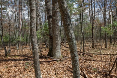 Set your roots in the storied setting of Eagle Waters Resort - photo 13