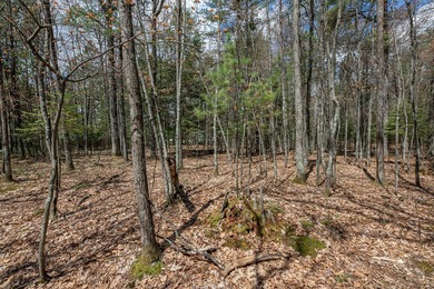 Set your roots in the storied setting of Eagle Waters Resort - photo 14