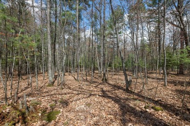 Set your roots in the storied setting of Eagle Waters Resort - photo 15