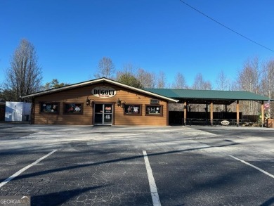 Lake Commercial For Sale in Clarkesville, Georgia