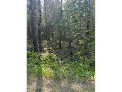 3.64 acres on Lake Kabetogama adjacent to Voyagers National Park - photo 11