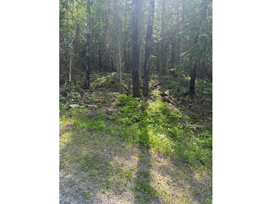 3.64 acres on Lake Kabetogama adjacent to Voyagers National Park - photo 12