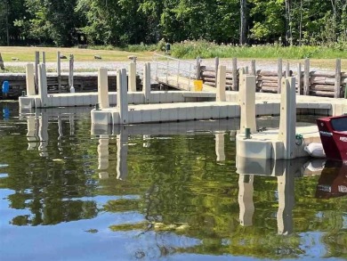 Imagine owning your very own waterfront resort on the renowned - photo 15