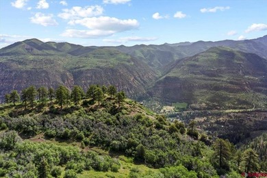 Todd R Schroedel, United Country Sneffels Realty, C:,,: NEW - photo 22