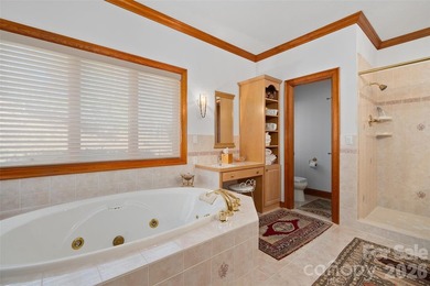 An extraordinary opportunity to own a premier mountain retreat - photo 23