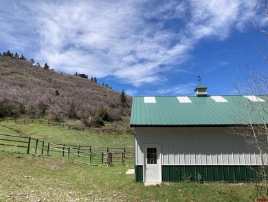 Todd R Schroedel, United Country Sneffels Realty, C:,,: NEW - photo 24
