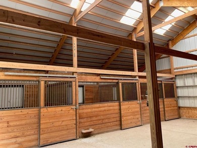Todd R Schroedel, United Country Sneffels Realty, C:,,: NEW - photo 26