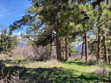 Todd R Schroedel, United Country Sneffels Realty, C:,,: NEW - photo 29