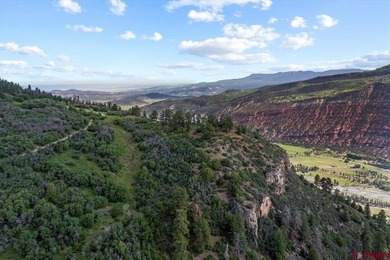 Todd R Schroedel, United Country Sneffels Realty, C:,,: NEW - photo 30