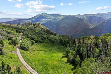 Todd R Schroedel, United Country Sneffels Realty, C:,,: NEW - photo 31