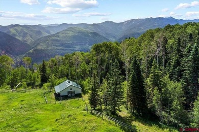 Todd R Schroedel, United Country Sneffels Realty, C:,,: NEW - photo 33