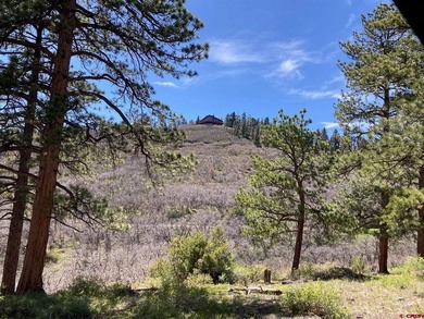 Todd R Schroedel, United Country Sneffels Realty, C:,,: NEW - photo 35