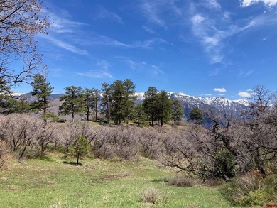 Todd R Schroedel, United Country Sneffels Realty, C:,,: NEW - photo 36