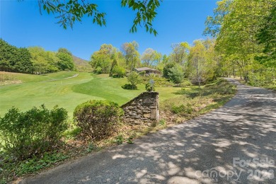 An extraordinary opportunity to own a premier mountain retreat - photo 37