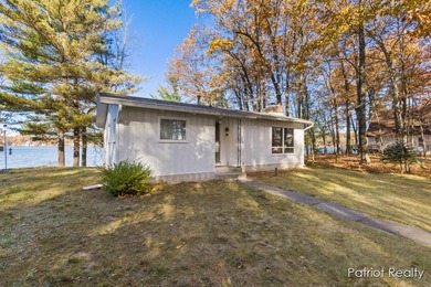 Bills Lake Home For Sale in Newaygo Michigan