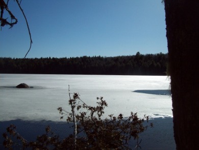 Lower Pug Lake Acreage Under Contract in Lakeville Maine