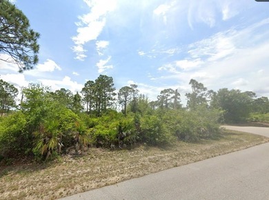 Lehigh Acres Area Lot For Sale in Lehigh Acres Florida