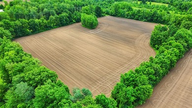A truly rare and versatile offering in the heart of Ontario - photo 11