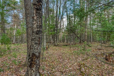 Set your roots in the storied setting of Eagle Waters Resort - photo 11
