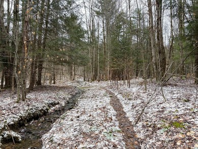Over 25 acres of mostly flat land in a very low-traffic, quiet - photo 11