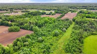 A truly rare and versatile offering in the heart of Ontario - photo 12
