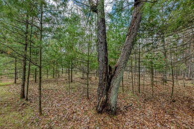 Set your roots in the storied setting of Eagle Waters Resort - photo 12