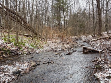 Over 25 acres of mostly flat land in a very low-traffic, quiet - photo 12