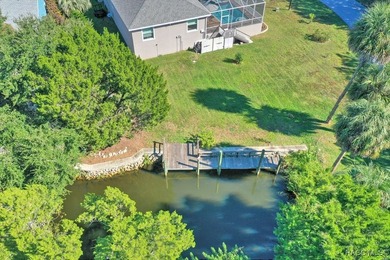 Price REDUCED! Wait till you see this beautiful elevated home on - photo 12