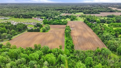 A truly rare and versatile offering in the heart of Ontario - photo 13