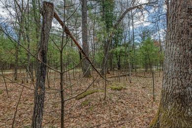 Set your roots in the storied setting of Eagle Waters Resort - photo 13