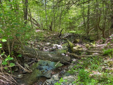 Over 25 acres of mostly flat land in a very low-traffic, quiet - photo 13