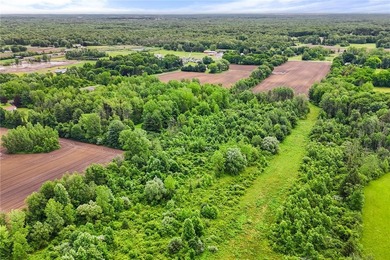A truly rare and versatile offering in the heart of Ontario - photo 14