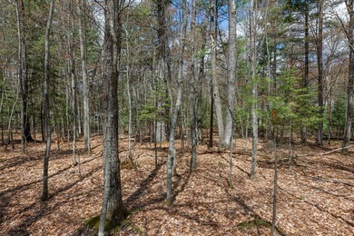 Set your roots in the storied setting of Eagle Waters Resort - photo 14